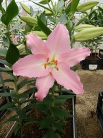 [5577 VH07 No02.JPG]